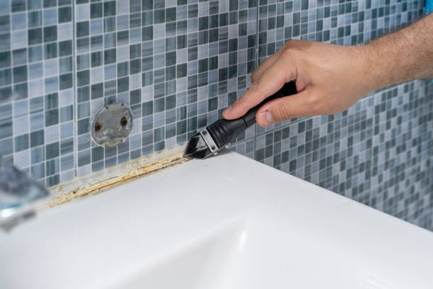 Best Office Mold Removal Services  in Tea, SD