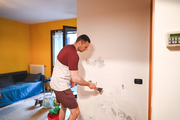 Best Mold Cleaning Services  in Tea, SD
